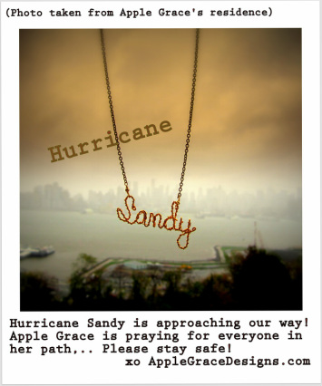 Hurricane Sandy is on her way...